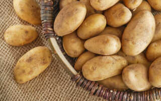 Как хранить картошку на балконе зимой: секреты
