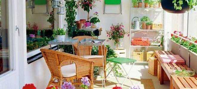 Трудно ли обустроить зимний сад на балконе своими руками?