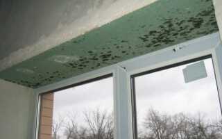 Как избавиться от плесени на пластиковых окнах