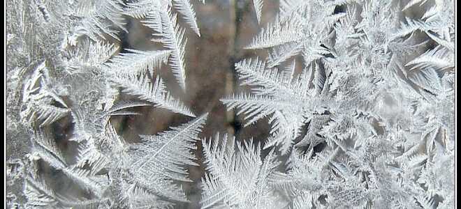 Почему замерзают окна на балконе: устраняем проблему