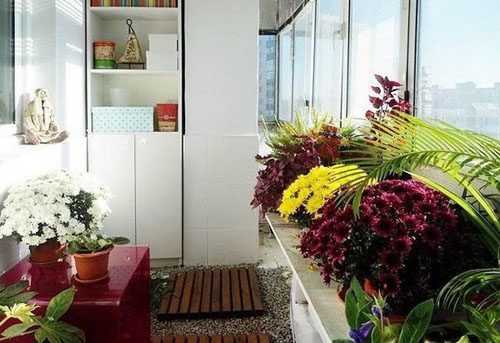 Сад на балконе