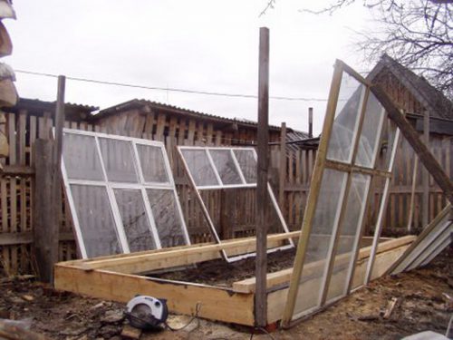 Как сделать теплицу из старых оконных рам