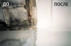 Удаление плесени Удаление плесени